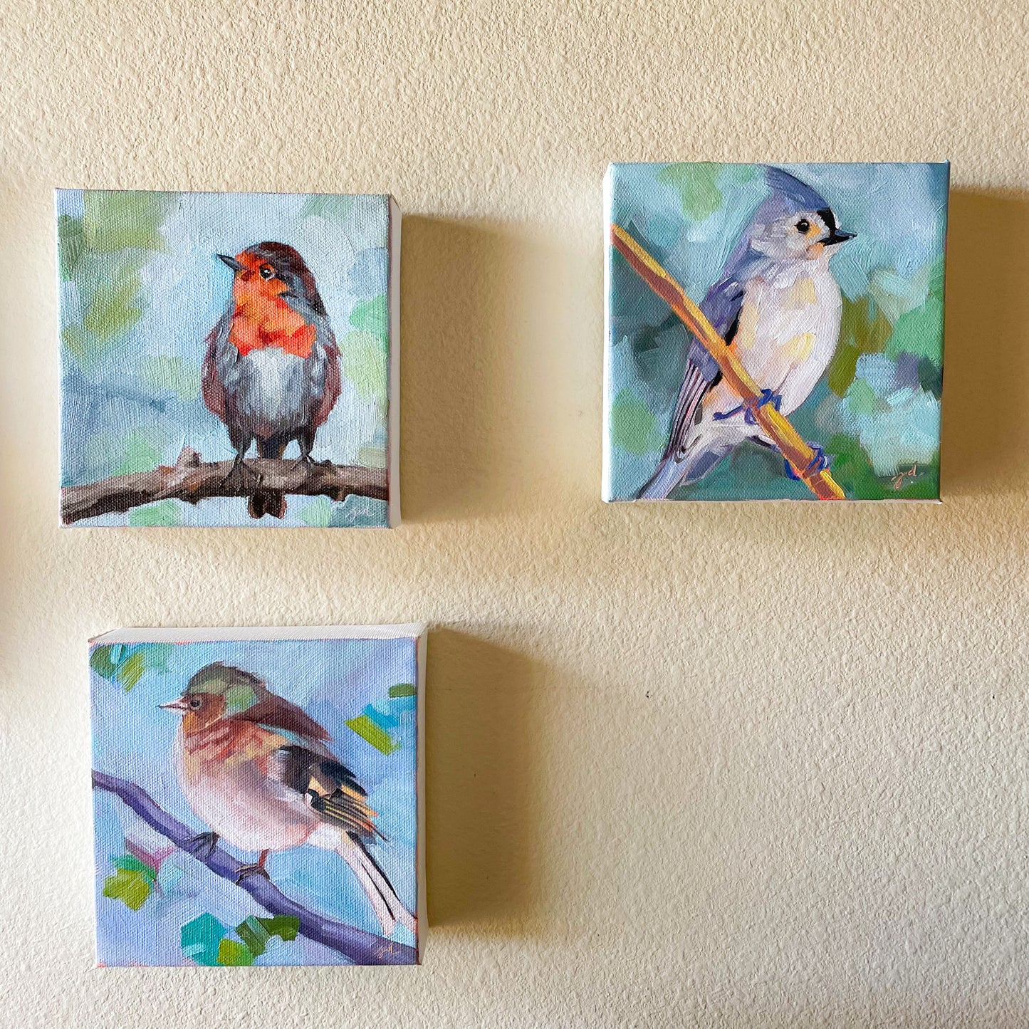 Cozy Common Chaffinch