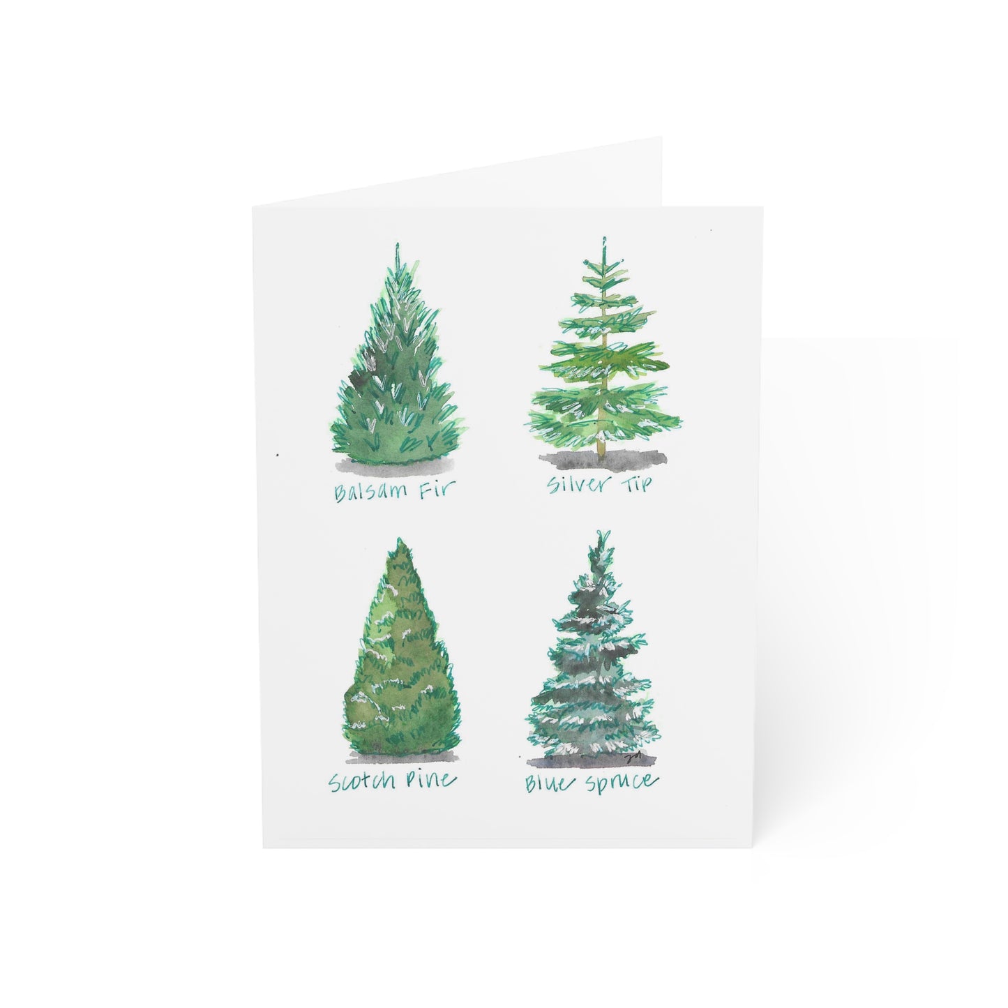 Christmas Tree Varieties - Watercolor Greeting Cards - Set of 1, 10, 30, or 50 Pieces