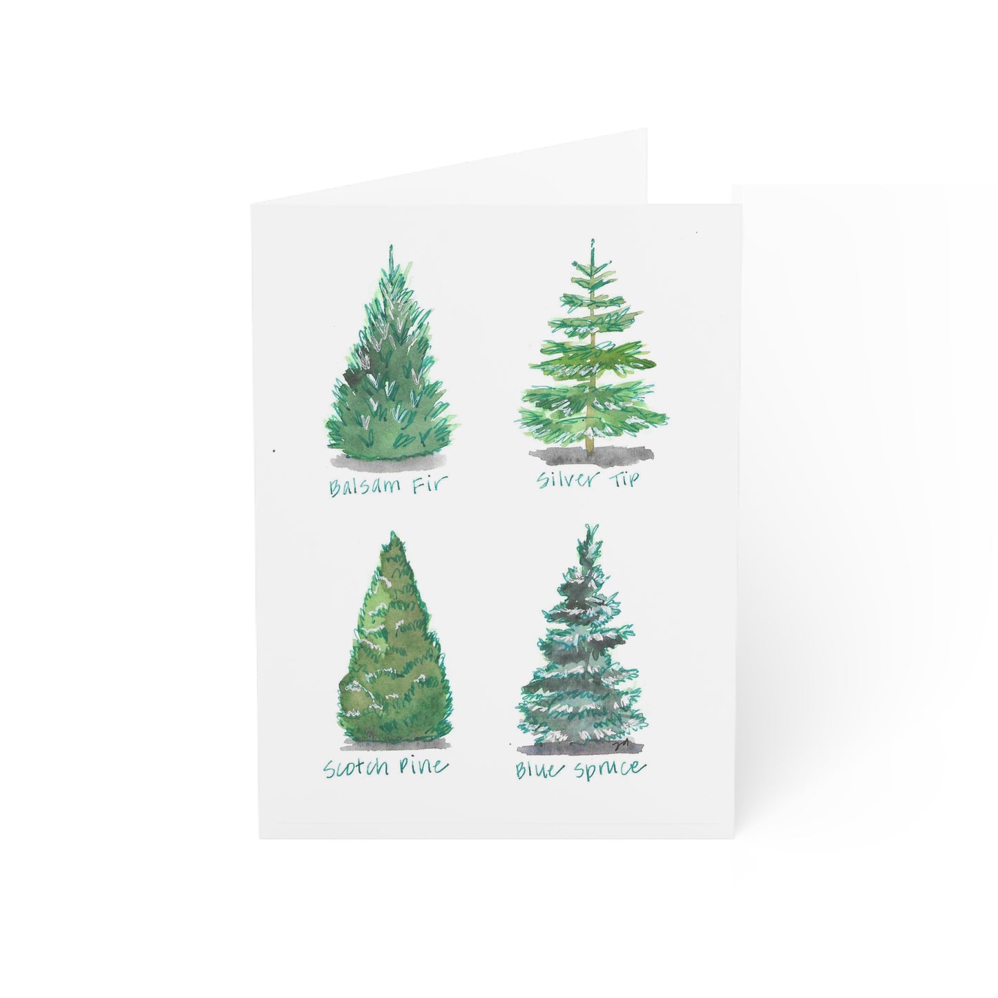 Christmas Tree Varieties - Watercolor Greeting Cards - Set of 1, 10, 30, or 50 Pieces