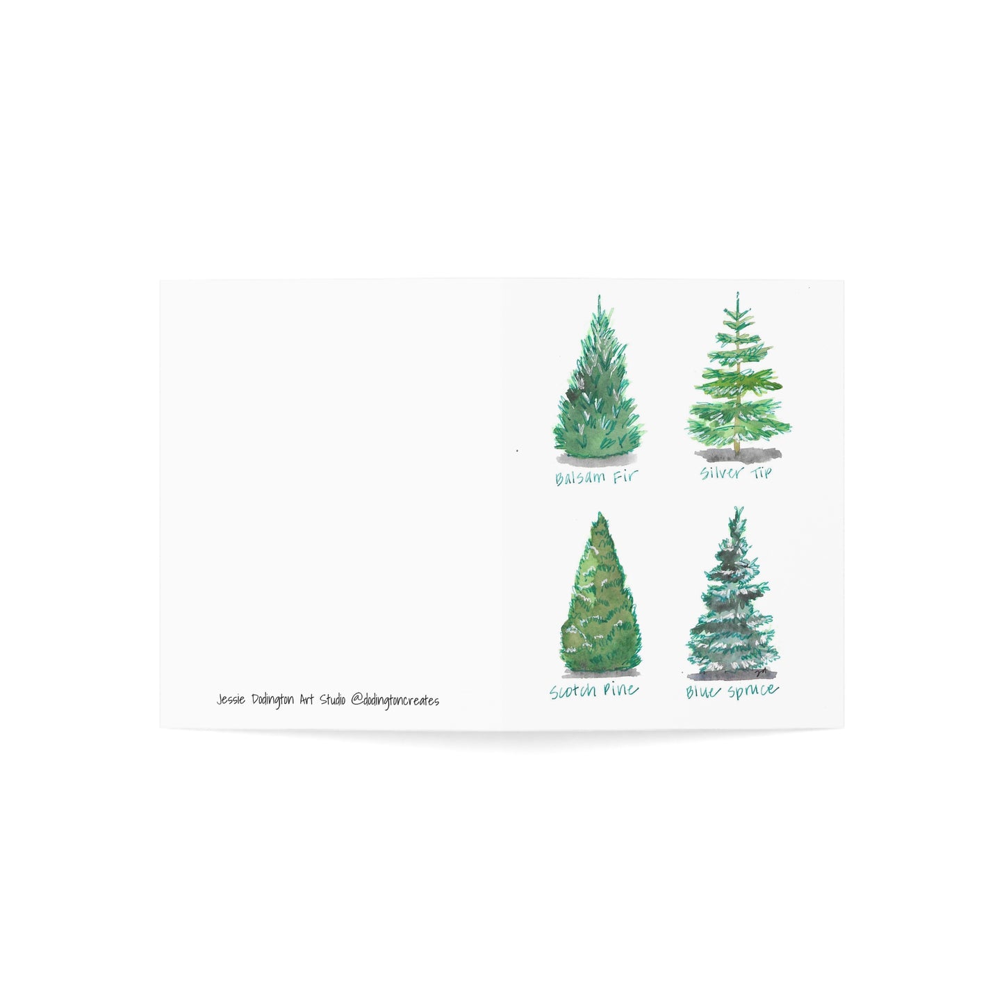 Christmas Tree Varieties - Watercolor Greeting Cards - Set of 1, 10, 30, or 50 Pieces