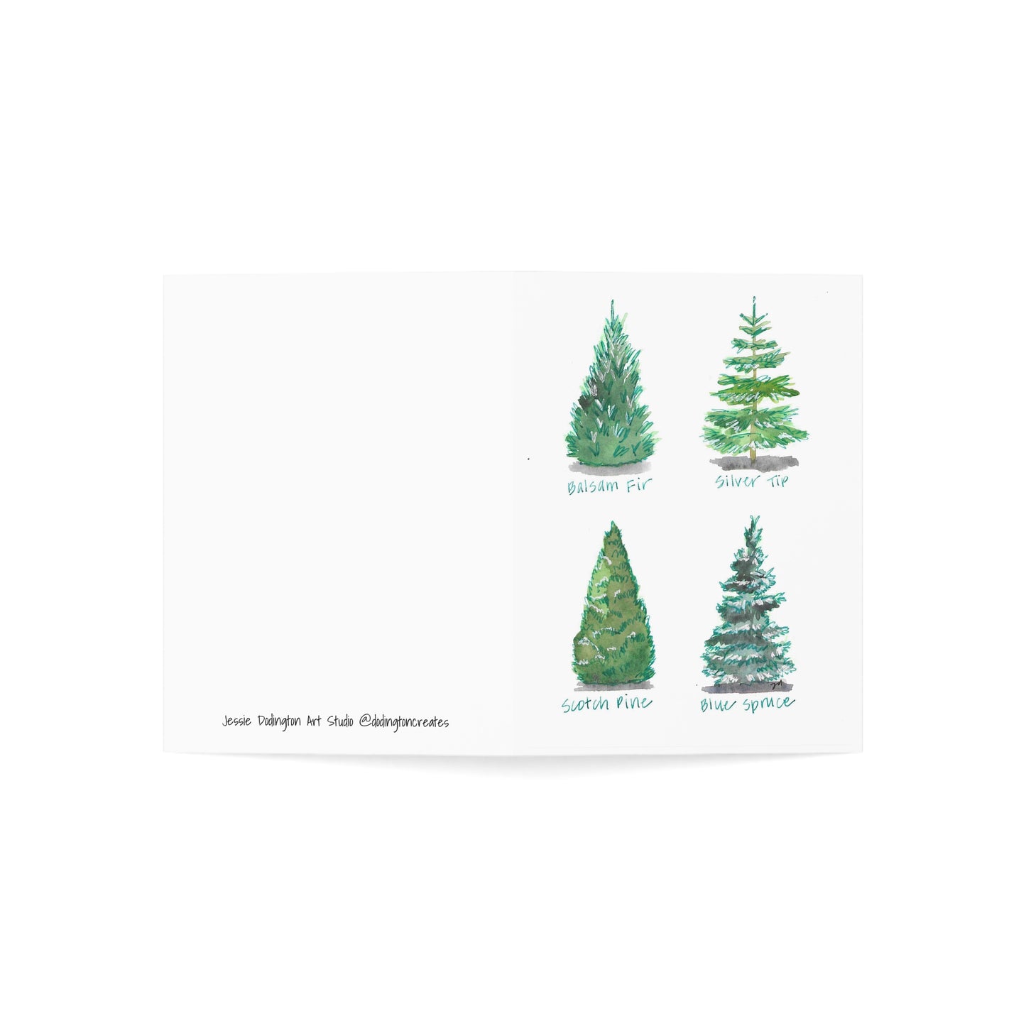 Christmas Tree Varieties - Watercolor Greeting Cards - Set of 1, 10, 30, or 50 Pieces