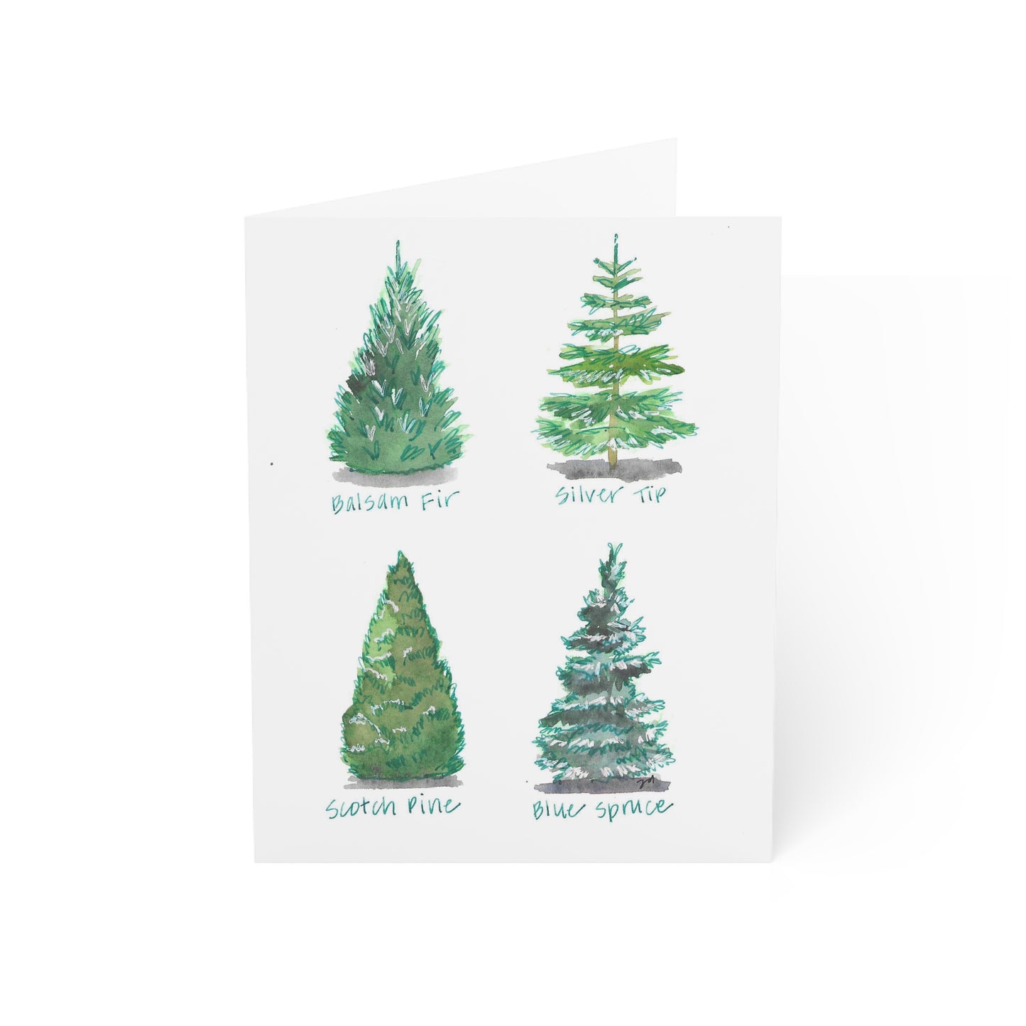 Christmas Tree Varieties - Watercolor Greeting Cards - Set of 1, 10, 30, or 50 Pieces