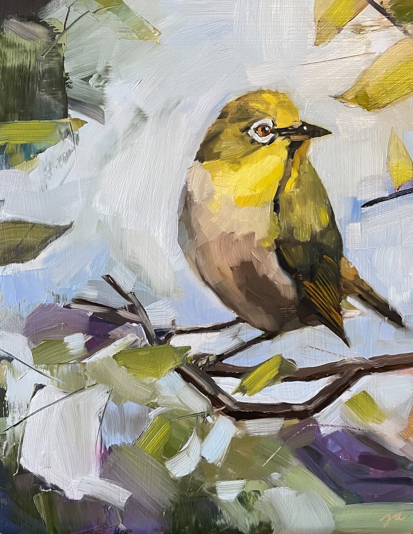 Connecticut Warbler