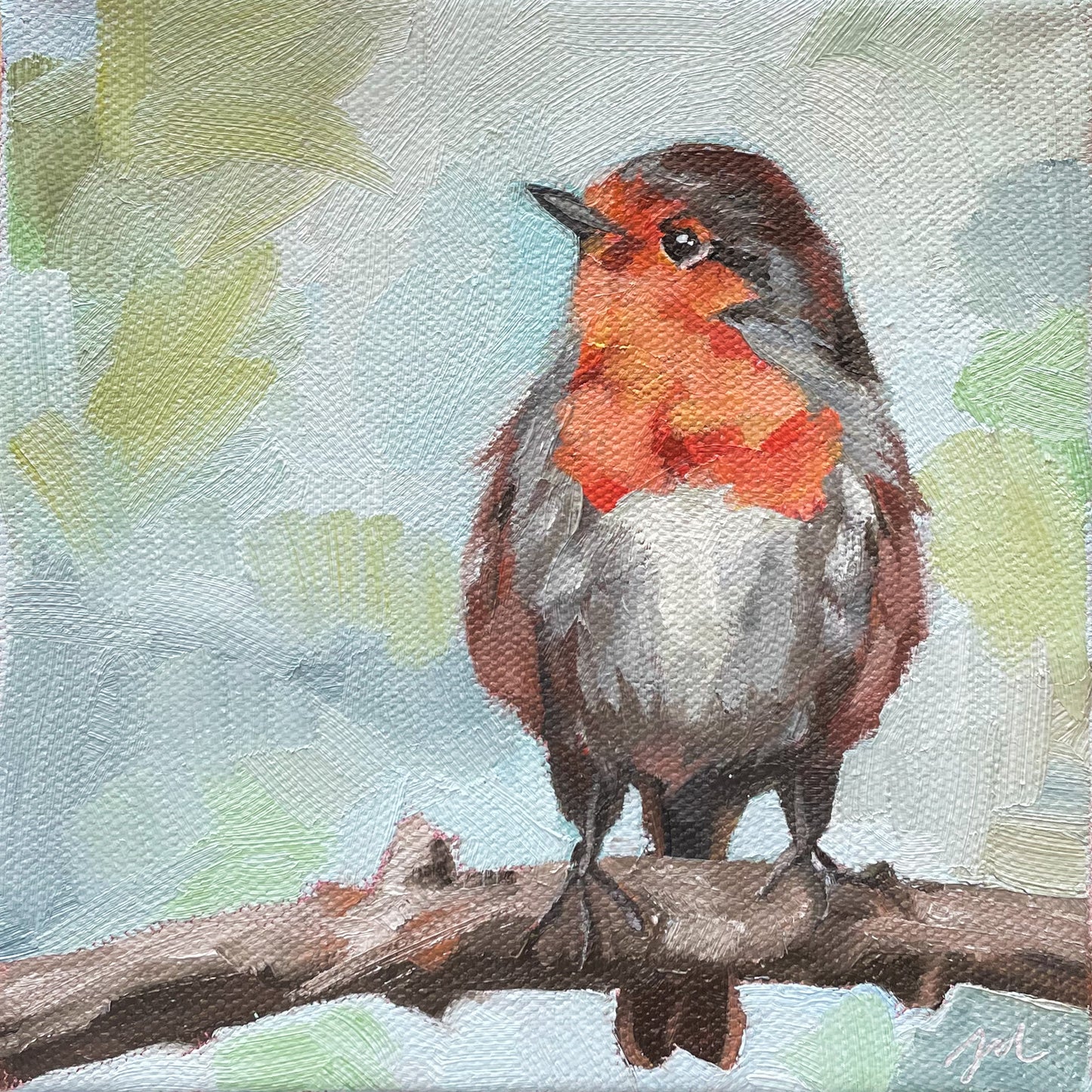 Precocious Robin