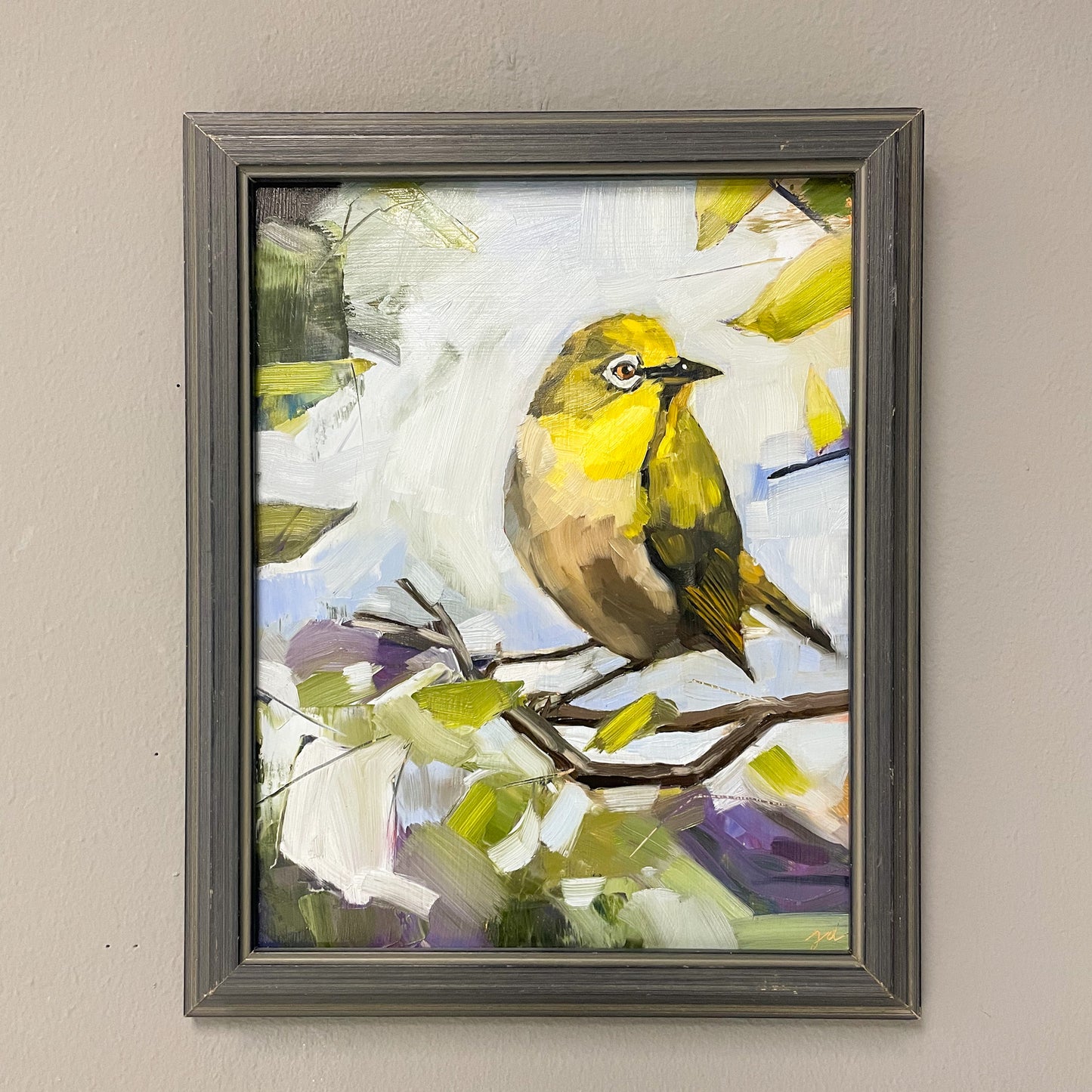 Connecticut Warbler